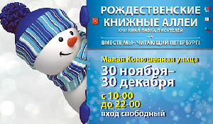 Рождественские Книжные аллеи Рождественские Книжные аллеи