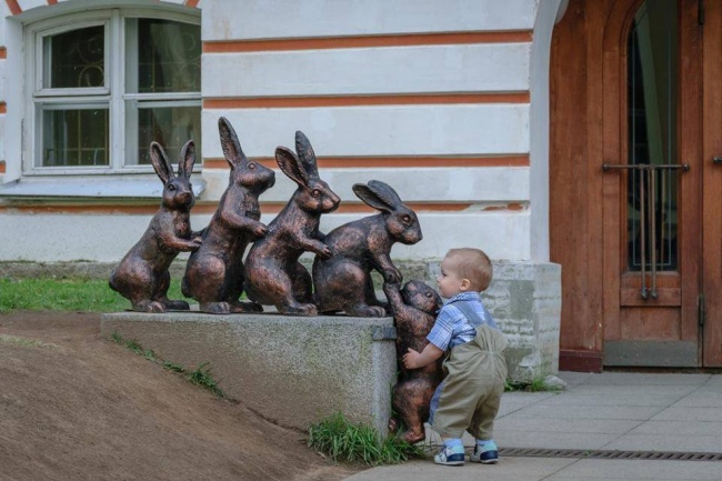 Музей истории Санкт-Петербурга  разыскивает зайцев